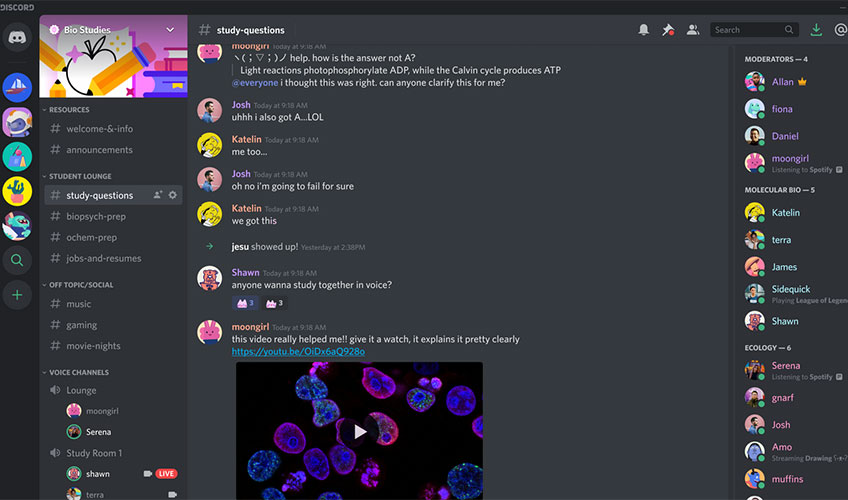 Screen shot from Discord website