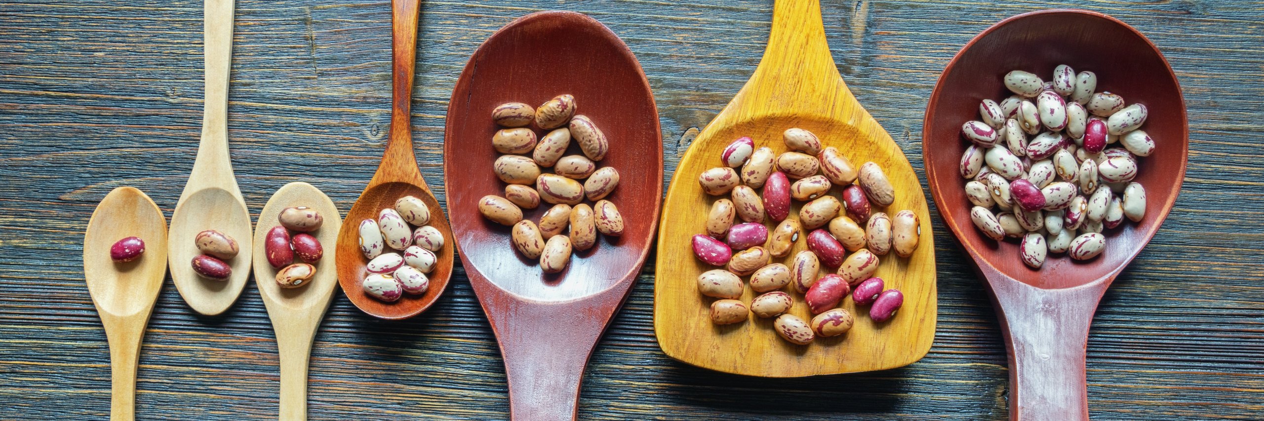 A collection of wooden spoons, each filled with different spices, displayed on a table.