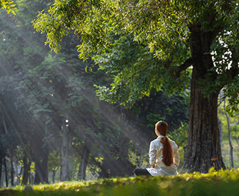 A person sitting under a tree, surrounded by nature, enjoying the sunshine.