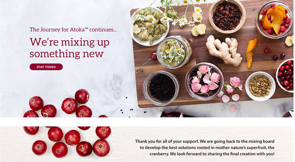 A screenshot of a webpage featuring a food-related advertisement.