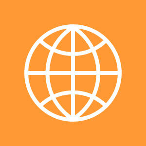 An icon of a globe, which is commonly associated with the internet or global connectivity