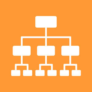 An organizational chart with four main branches, each branch containing three sub-branches, all depicted as rectangles