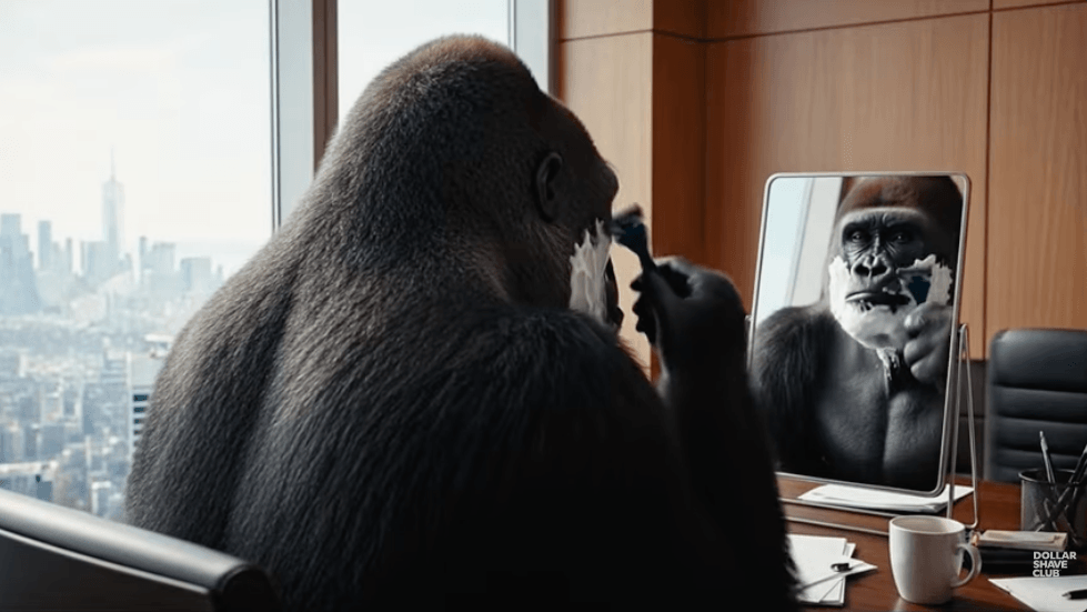 Ape in an office setting, looking into a mirror while shaving.