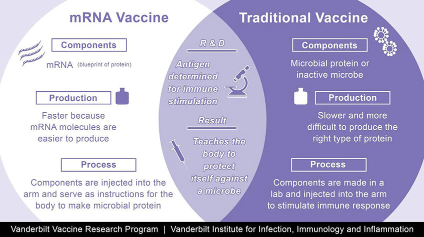 COVID-19 vaccine tests in a lab
