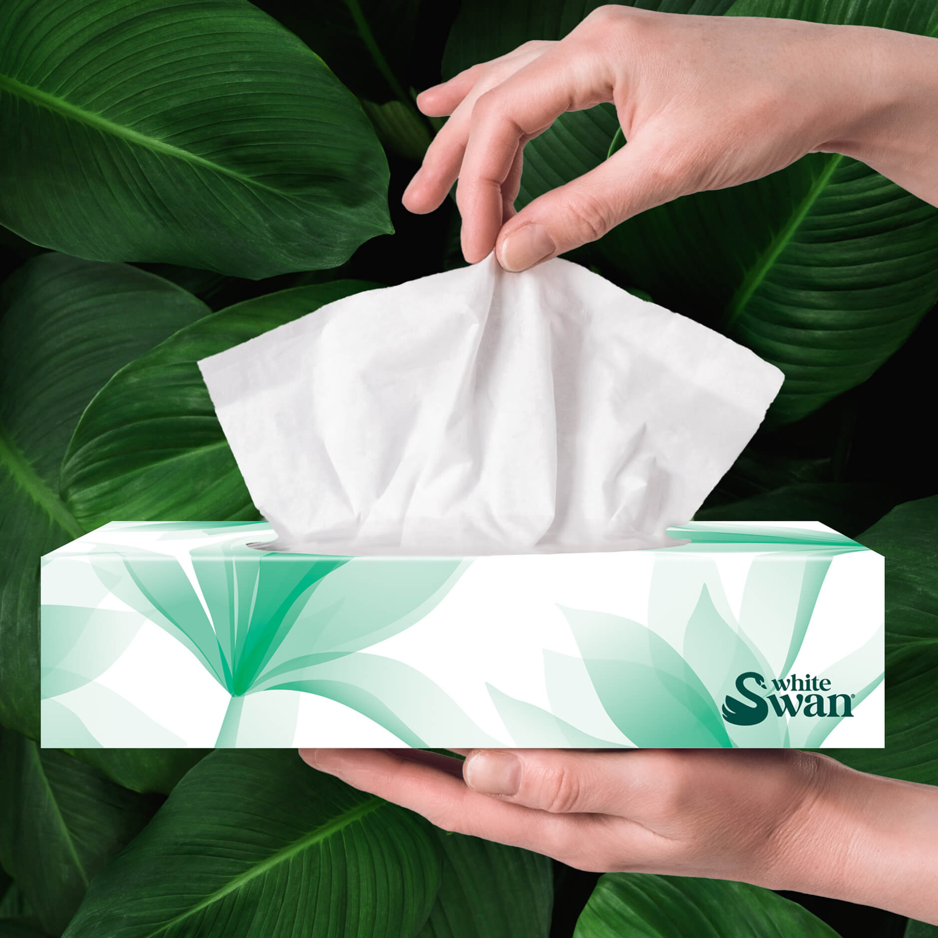 White Swan Wins GDUSA Award for Design Excellence