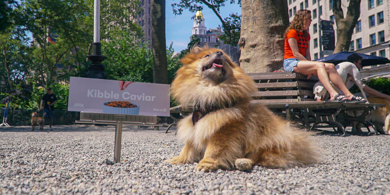 Dog next to level kibble caviar billboard
